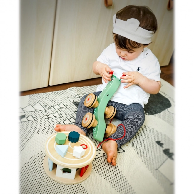 Montessori Pull-Along Snail with Shape Sorter