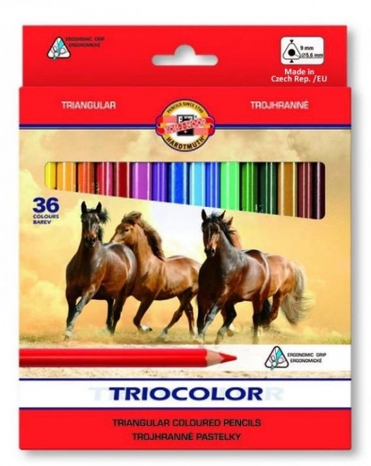 Triangular Colored Pencils Set 36 pcs by Koh-i-noor