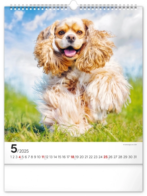 Notique Wall Calendar Dogs 2025