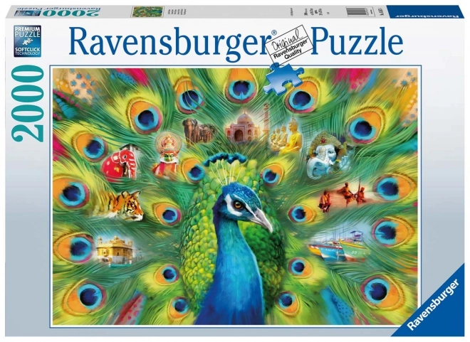 Puzzle 2000 dílků Pavi říše