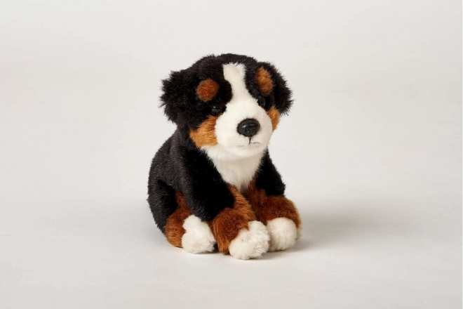 Plush Bernese Mountain Dog Toy