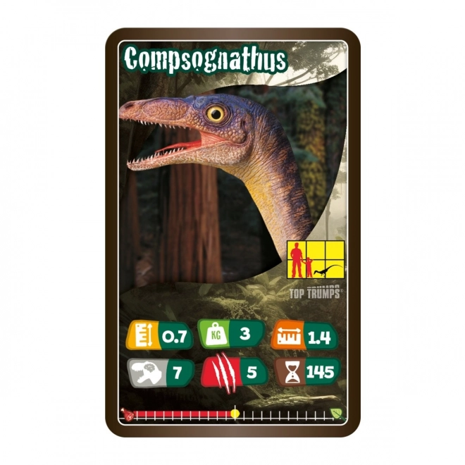 Dinosaur Card Game