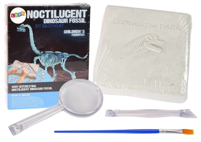 Dinosaur Excavation Kit 3D Skeleton Brachiosaurus