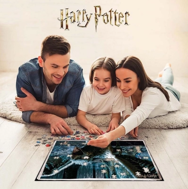 Harry Potter 3D Puzzle - 300 Pieces