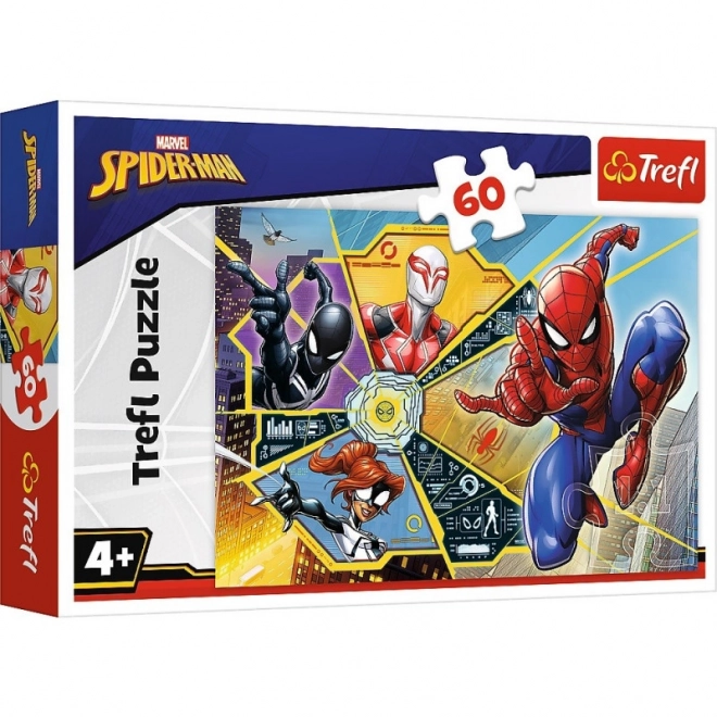 Spiderman Puzzle: On the Web