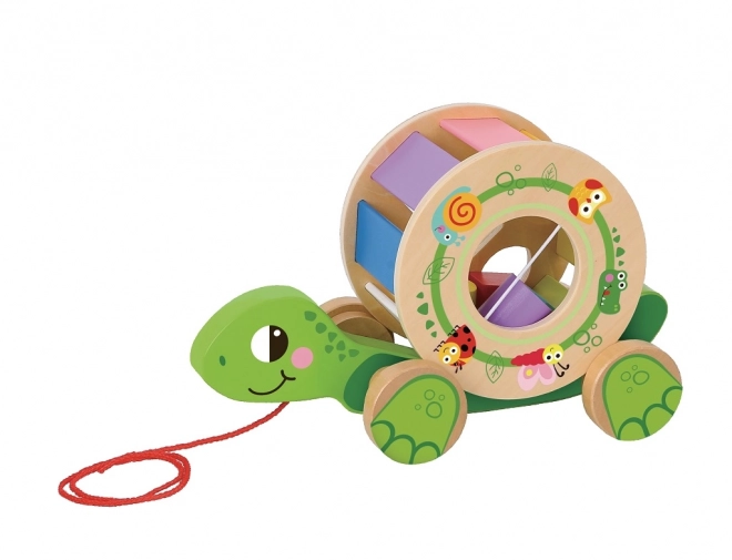 Pull Along Turtle Toy