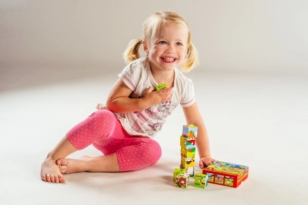 My First Animal Wooden Blocks Set