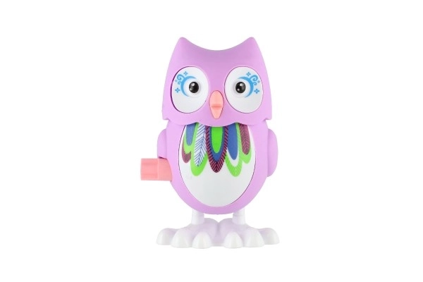 Colorful Wind-Up Owl Toy