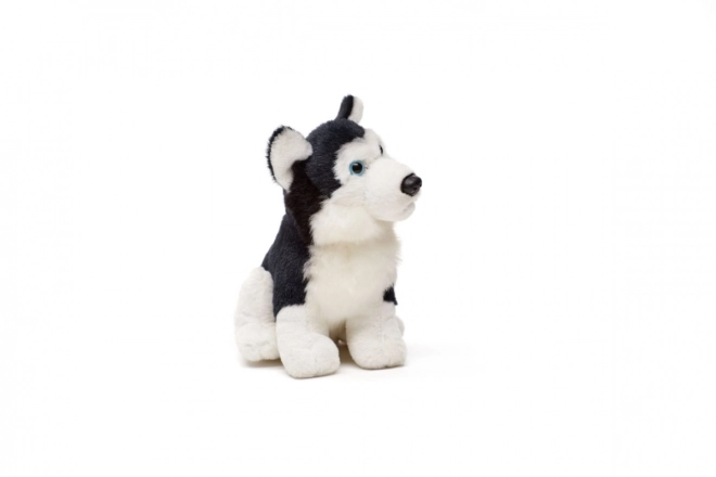 Plush Husky Toy