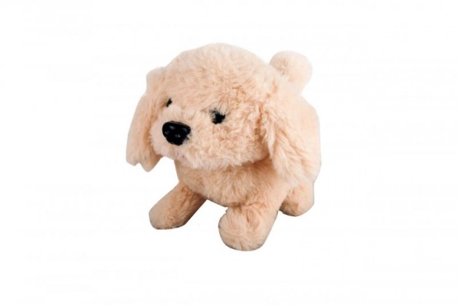 Battery-Operated Walking Puppy Toy