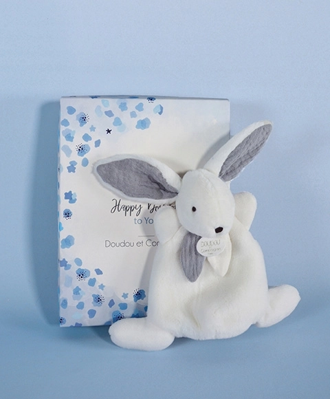 Blue Gift Box Mini Bunny