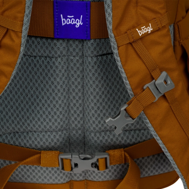 Backpack BAAGL Dash Max Caramel GRS
