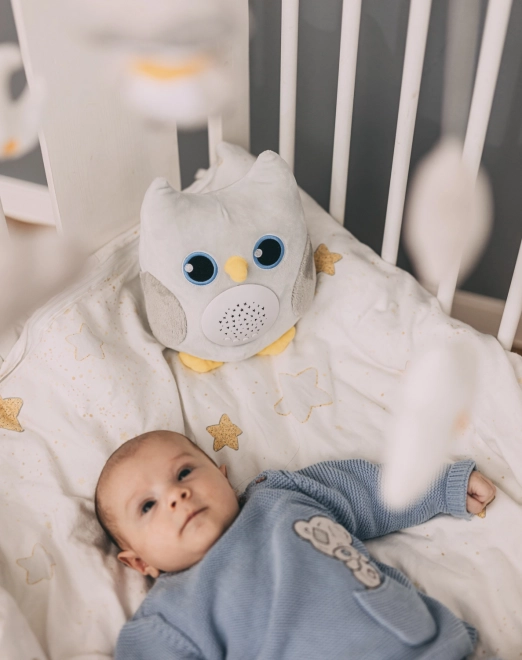 Plush Owl with Starry Night Projector