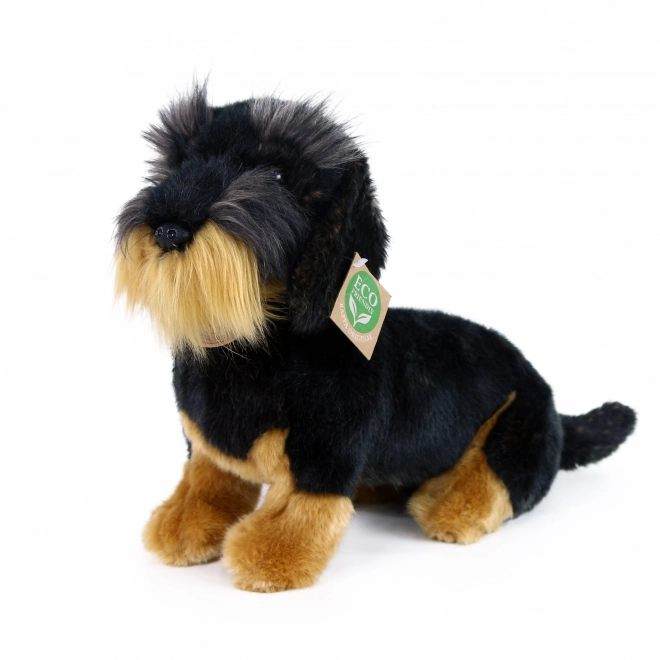 Plush Wire-haired Dachshund Sitting 30 cm