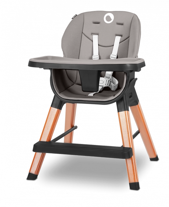 Lionelo 4-in-1 Feeding Chair Mona Black Onyx