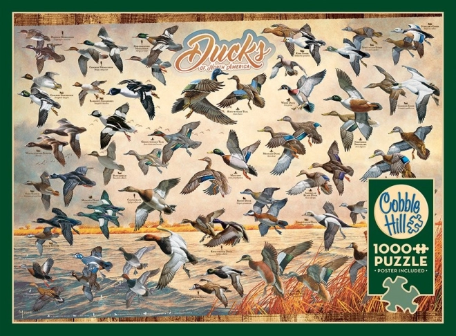 North American Ducks Puzzle 1000 Pieces