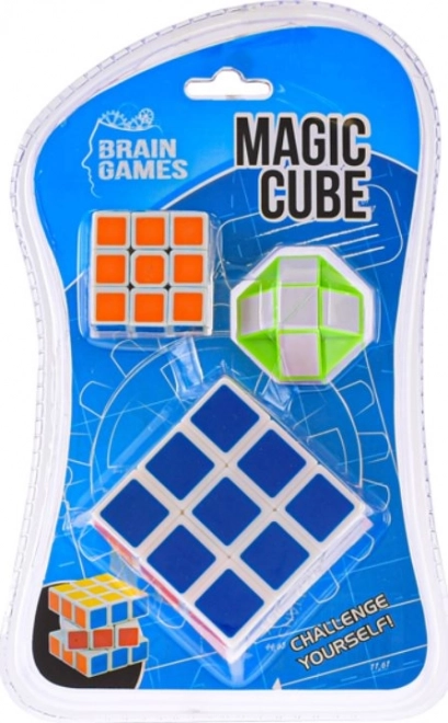 Brain Puzzles Set: Folding Cubes and Snake