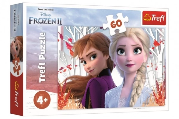 Frozen 2 Enchanted World of Anna and Elsa Puzzle