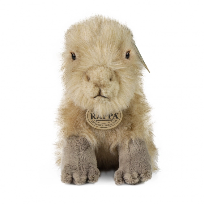 Eco-Friendly Plush Capybara 18 cm