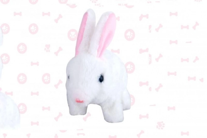Battery Operated Bunny Toy