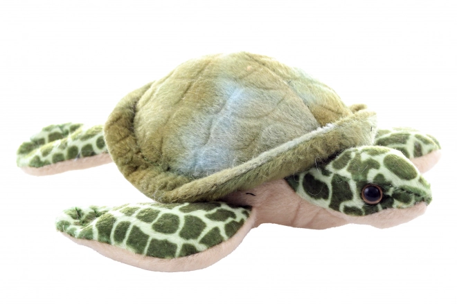 Plush Sea Turtle Toy