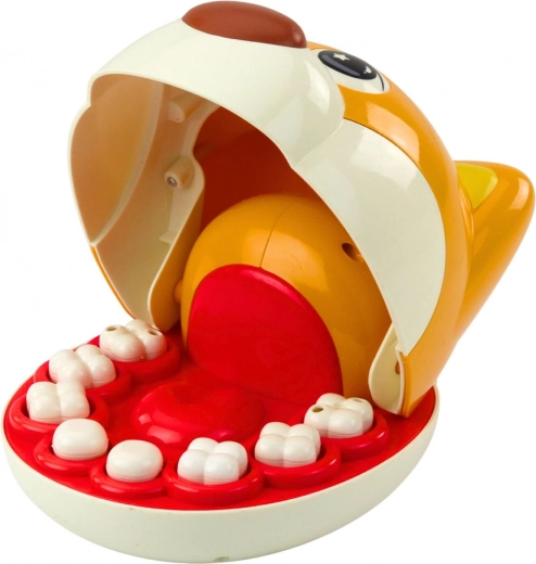 8 vyberateľných zubov a realistické nástroje