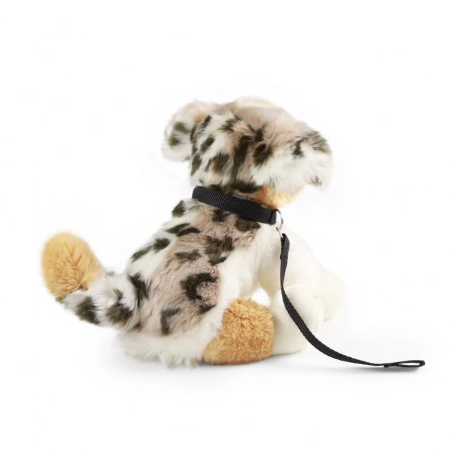 Plush Australian Shepherd with Leash