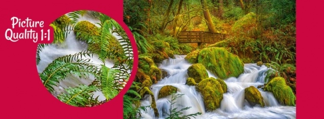 Forest Waterfall Puzzle 1000 Pieces