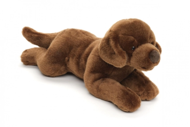 Eco-Friendly Plush Labrador Toy