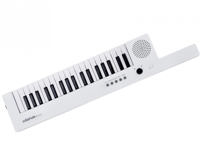 Electronic Keyboard Organs with Handle Musical Toy