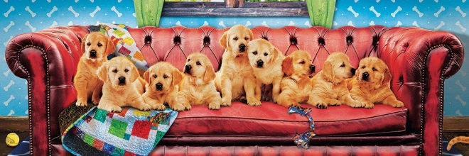 Eurographics Panoramic Puzzle Labrador Dogs on Dog Sofa