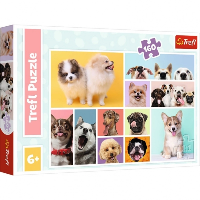 Dog Friendship Puzzle