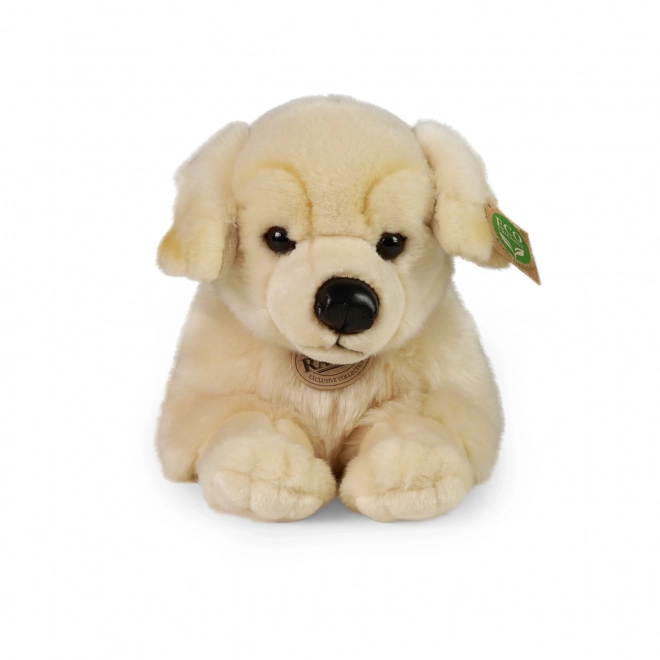 Plush Golden Retriever Eco-Friendly 39 cm