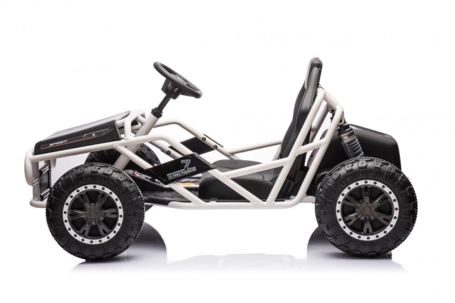 Electric Ride-On Vehicle Buggy Black 24V