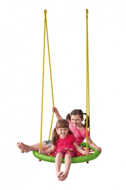 Nest Swing for Kids