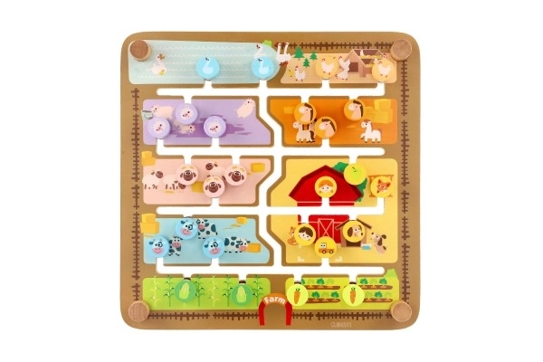 Wooden Educational Maze and Puzzle Board 2-in-1