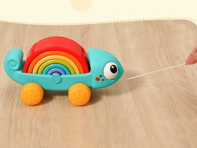 Rainbow Chameleon Montessori Puzzle