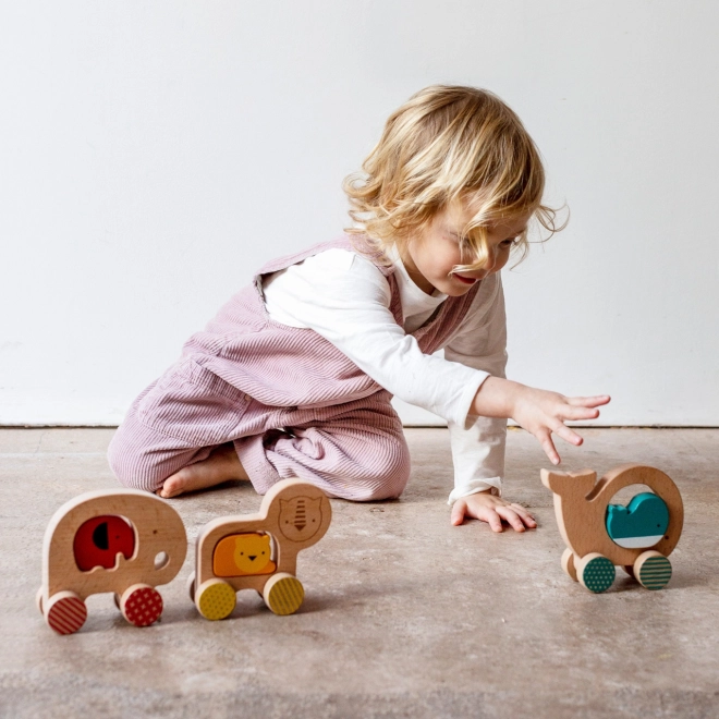 Wooden Lion on Wheels