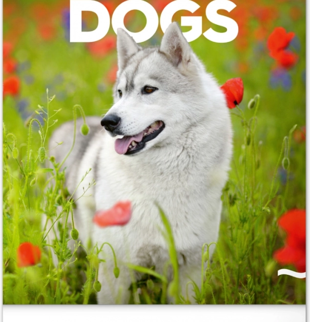 Calendario da parete Cani 2026