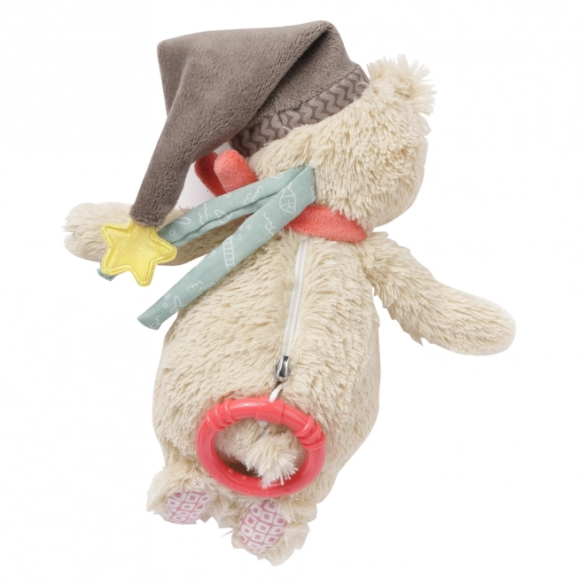 Musical Teddy Toy, Bruno the Teddy