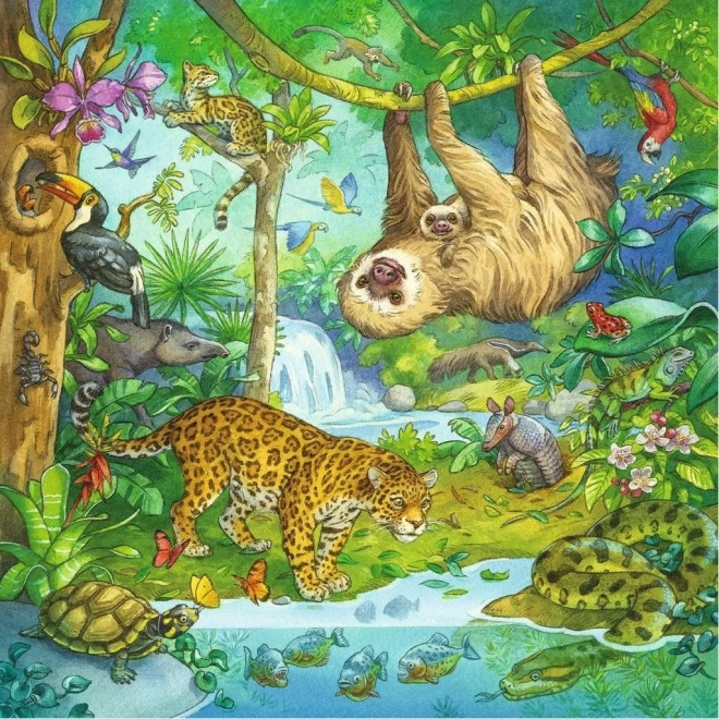 Jungle Animals Puzzle Set