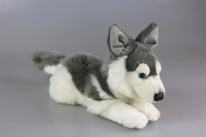 Plush Husky Dog Toy 34 cm