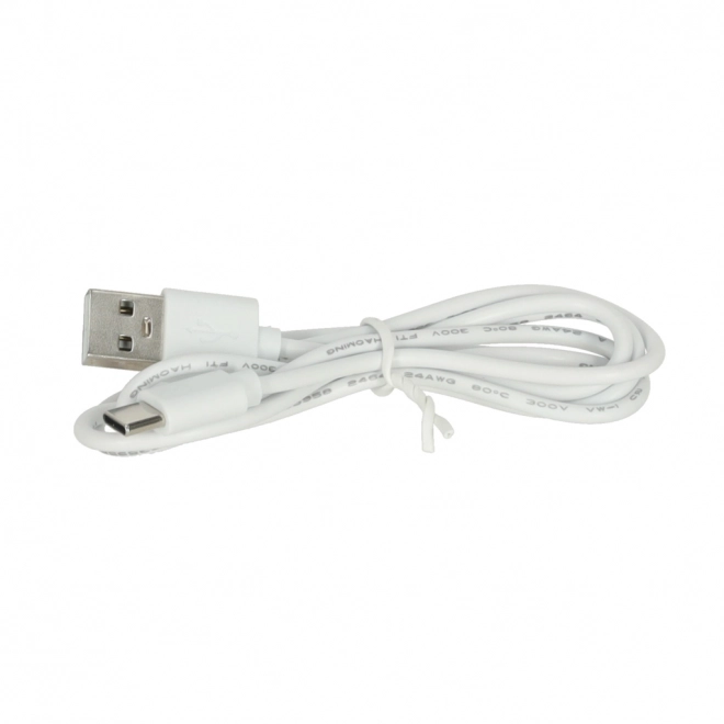 Night Light with Desk Clip, White