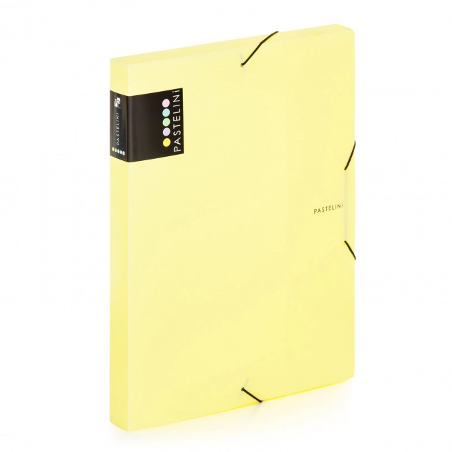 Pastelini Yellow Document Box with Elastic