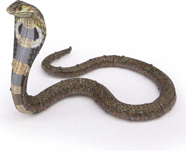 Ohebná, působivá póza kobry