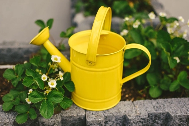 Yellow Metal Watering Can