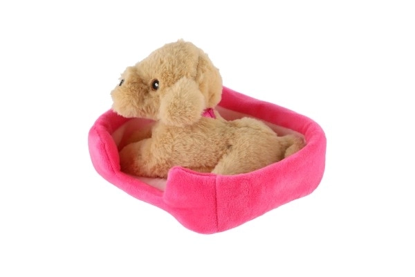 Plush Pet With Bed