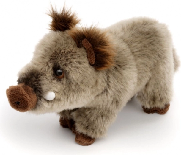 Realistic wild boar details