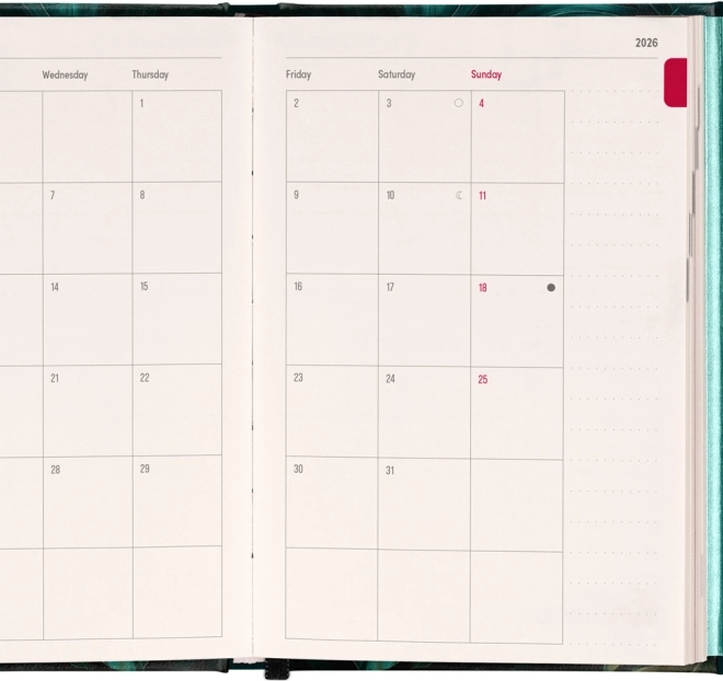 Agenda settimanale magnetica Monstera 2026, 11 x 16 cm