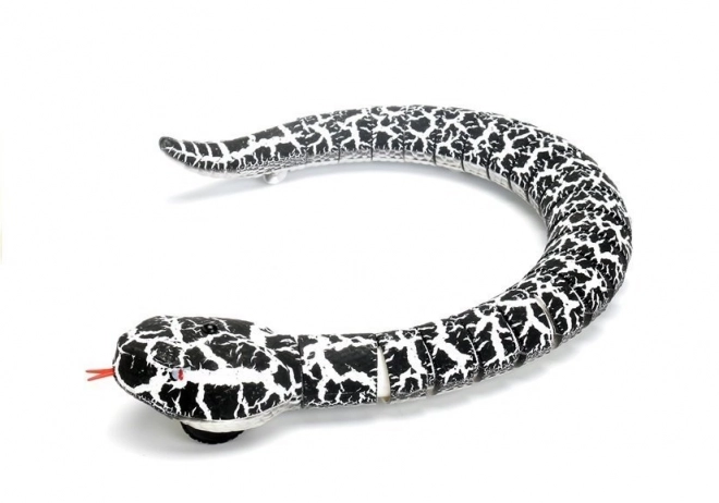 Remote Controlled Black Snake Toy